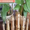 冷冻机安全阀SFA-22C300T3/8(开启压力3.2MPa)A27W-16T、A28W-16T