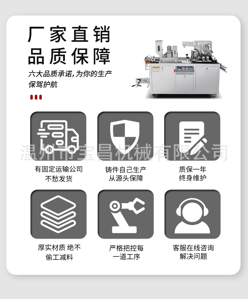 胶囊泡罩包装机_02.jpg