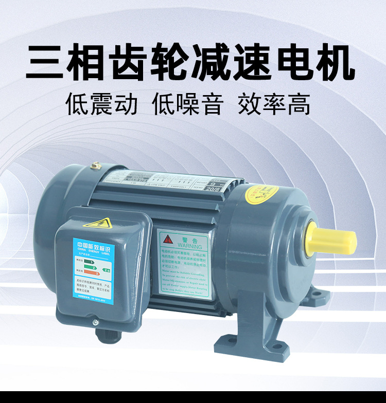 三相齿轮减速电机详情_01