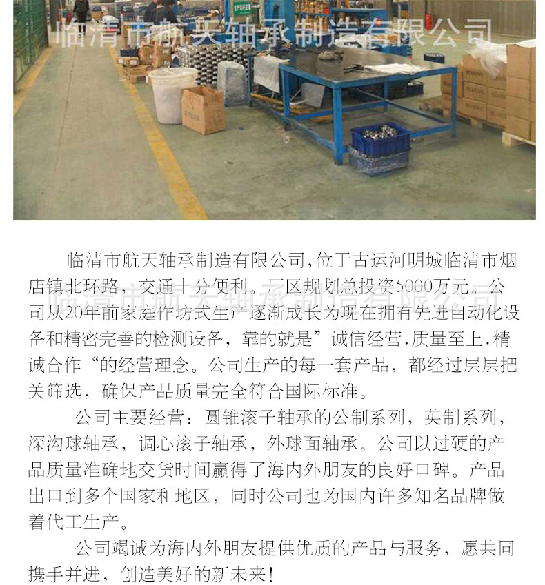 深沟球6000_12.jpg
